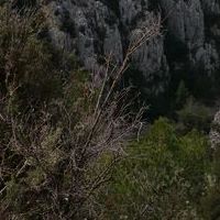 Photo de France - Cassis et ses Calanques